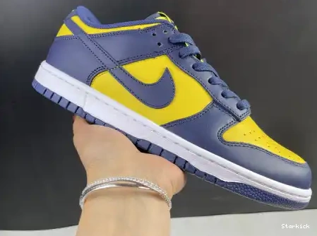 Michigan Nike Dunk DD1391-700 Low 0504